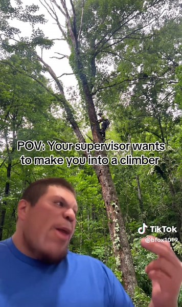 Becoming a Climber: A Lighthearted POV on Tree Work
