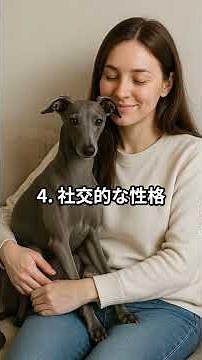 5 Amazing Abilities of Italian Greyhounds #ItalianGreyhound #Dog #AnimalVideo #LifeWithDogs #Dog