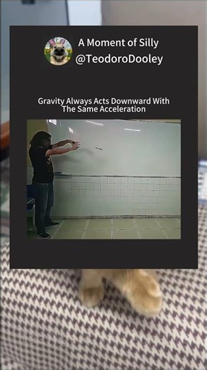 Acceleration Due To Gravity Is Always Same 💯 #physics #scienceexplained