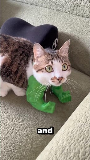 Hulk arms for cat