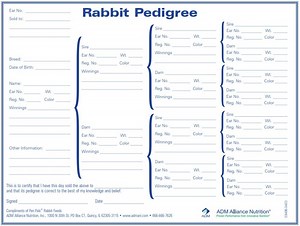 Free Printable Rabbit Pedigree Template
