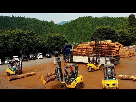 木材選別 フォークリフトによるトラック積み込み【内子町森林組合 小田原木市場】