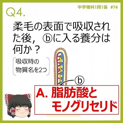 【中学理科】1問1答#74 動物の体のつくりとはたらき⑦ #Shorts #ゆっくりで学ぶ中学理科 #高校入試 #理科