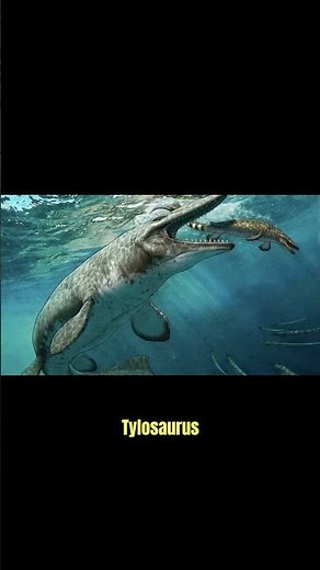 The Terrifying Beasts That Ruled the Prehistoric Oceans
