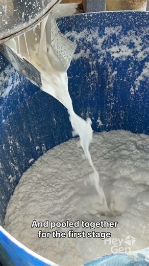 How Natural Rubber Is Made From Tree to Product – Fun Fact