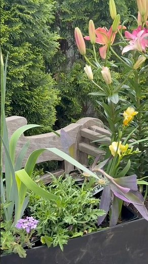 Summer Planter Magic: Mixing Perennials & Annuals for Lasting Color