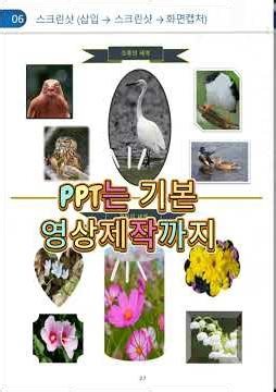 컴맹탈출3과정 교재 : 영상제작과 파워포인트