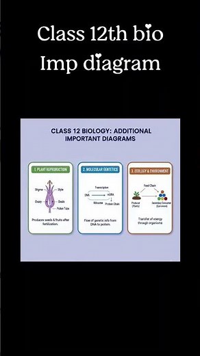 Class 12th bio important diagram🎯💯#biology #exam #class12thbio #class12