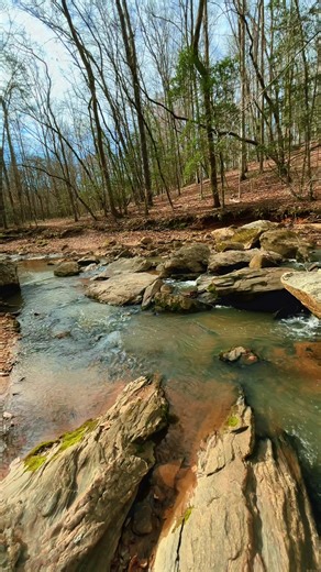I found peace today☀️🌊✨ #watersounds #creek #creeklife #naturelover #hiker