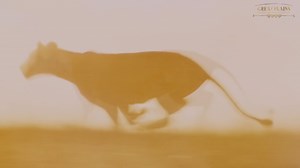 90 reactions · 17 shares | Over a decade ago, Great Plains...