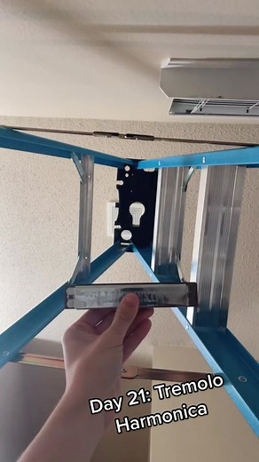 Exploring the Tremolo Harmonica: A Unique Instrument