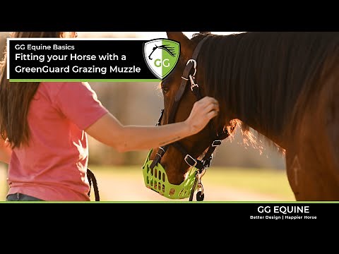 How to Set up & assemble your Green Guard Grazing Muzzle & Halter + fit check