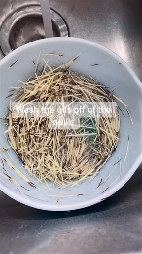 Learning Quillwork Techniques from an Indigenous Artist