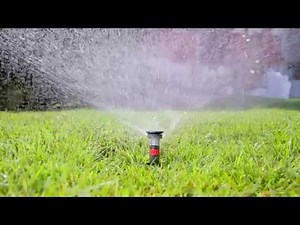 Colibrì System - EN