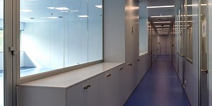 DeltaWALL: modular walls and panels for cleanrooms