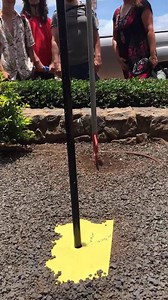 It is officially called “Lahaina Noon,” a solar phenomenon when the sun is exactly overhead. Poles don't cast shadows, giving the urban landscape an eerie appearance. Hawaii is the only state in the US where the sun's rays are perpendicular to the surface of Earth.. | Pacific Whale Foundation