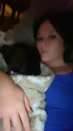 1.1K views · 51 reactions | My snuggle buddy | Tasha Swafford | Facebook