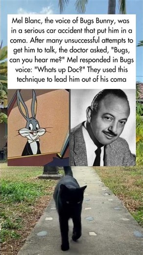 He Woke Up Saying ‘What’s Up Doc? #shorts #fyp