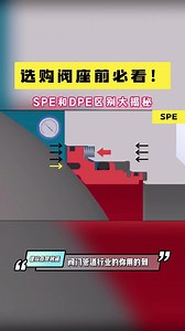选购阀座前必看！spe和dpe区别大揭秘