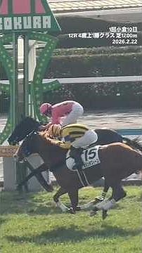 杉原誠人騎手 4勝目 アサクサグレース フォーウィールドライブ産駒 1回小倉10日 12R 4歳上1勝クラス 芝1200m