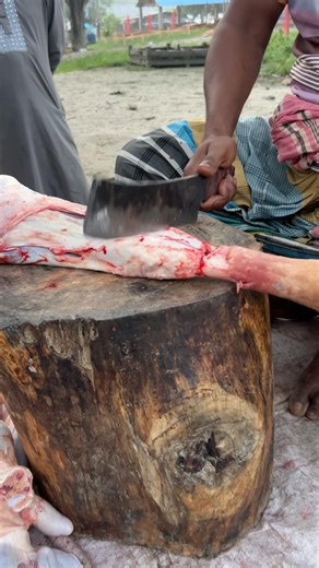 big ox long paya process. #beef #meatmarket #meat #food #meatcutter #bbqmeat ‪@MeatCanyon‬ ‪@DeadMeat‬