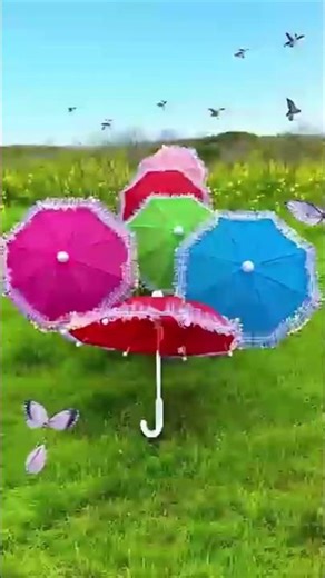 Colourful Umbrella Unboxing And Testing 🔥☂️ #shorts #trendingshorts #umbrella #unboxing
