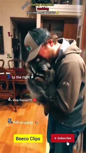 👉 Funny Raccoons Being Chaotic 😂🦝 | #Shorts(part 01)