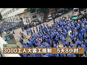 A strike of 3,000 workers at Shenzhen Yilisheng: Why are the workers boycotting a "5-day, 8-hour"...