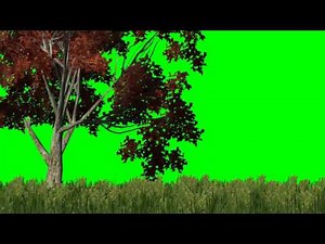 meadow with red tree in the wind - green screen effects - free use