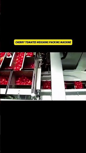 Cherry Tomato Automatic Weighing Packing Machine | SAYOK #weighingsolutions