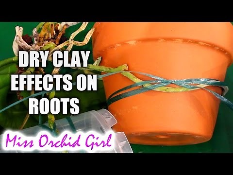 Using clay pots with Orchids - warnings and considerations