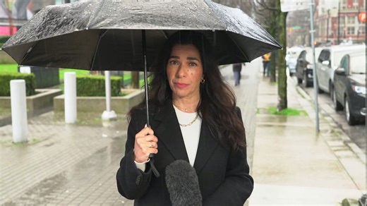 Vancouver records first snowless winter in 43 years