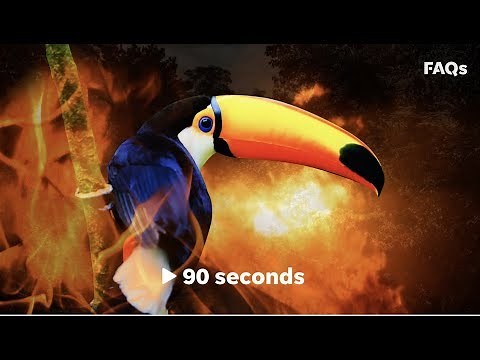Why is Brazil’s Amazon rainforest engulfed in flames? | Just The FAQs