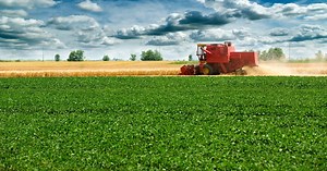 Sowing success: regenerative agriculture turbocharges farming profits