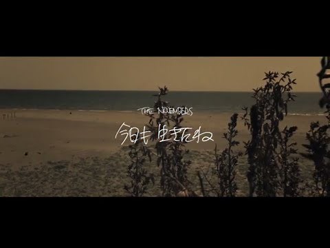 ▲THE NOVEMBERS "今日も生きたね" ▲