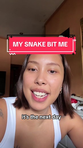 Snake Bites: My Experience with a Ball Python