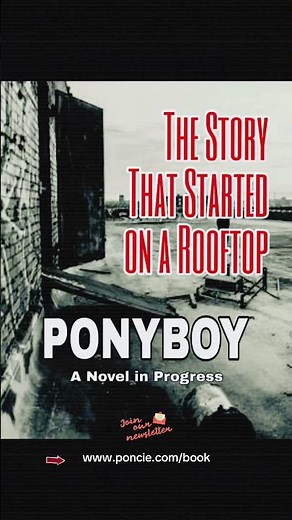 The Story that Started on a Rooftop | PONYBOY: A Novel in Progress