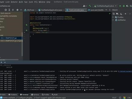 在Windows系统使用GraalVM Native Image编译SpingBoot项目，将项目打包成exe文件。项目的运行不在依赖Java环境，启动更快速。#干货分享 #教程来了
