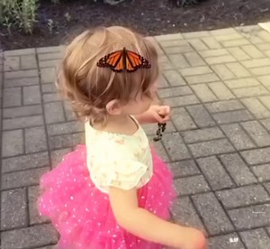 231K views · 12K reactions | Two butterfly 曆梁 | 햧 헒 헉 헇 허 헍 헂 헓 햾 | Facebook