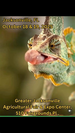 Post 2 Check out my trip to ReptiCon! It is hosted here in Jax annually! I was able to go recently with a friend and it was amazing!!! Great experience! Wanna join me next time? #nature #animals #wildthings #snakes #frogs #newts #turtles #repticon #fy #fyp #fypreelsシ゚viralシ | Brian DeafPrez