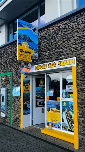 Scenes onboard our tour 🚤 #dingleseasafari #dingle #kerry #ireland | Dingle Sea Safari