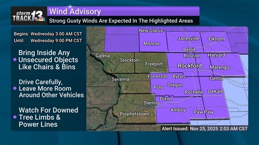 WIND ADVISORY: Strong winds are expected in the following counties: Cook, DuPage, Lake, Will, Lake, Kane, McHenry, Winnebago, La Salle, Kendall, Kankakee, De Kalb, Porter, Ogle, Grundy, Boone, Livingston, Iroquois, Jasper, Lee, Ford, Newton, Benton. Keep two hands on the wheel and watch for tree and power line damage! Updates at https://www.wrex.com/weather/. Expires: Nov 26 9:00PM CST | 13 WREX