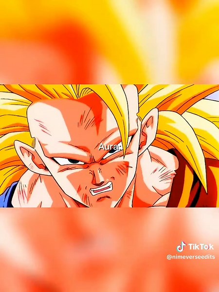 Goku SSJ3 vs Janemba: Epic Dragon Ball Z Fight