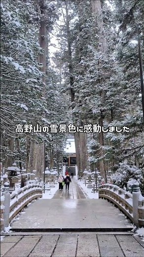 白くなると、高野山はもっと深い。別世界みたいな雪景色の奥之院 #和歌山 #観光スポット #旅行vlog #絶景スポット