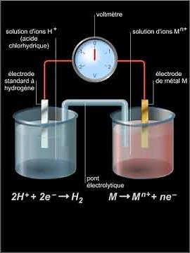 Potentiel redox