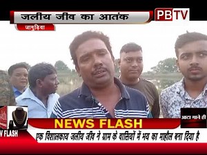 PBTV FULL NEWS FLASH ...............23-10-2021 | PBTV News