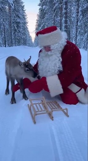 Santa Helps a Reindeer!