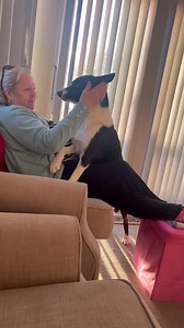 198 reactions · 50 comments | Shirley, Barney and the beautiful music of John Barry | Stephen Kelleher | Facebook