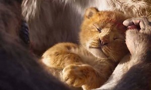 106K views · 1K reactions | It's the circle of life. Disney The Lion King is in theaters July 19. | Apple TV | Facebook