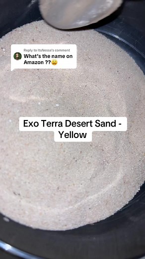 Exo Terra Desert Sand: The Perfect Substrate for Reptiles